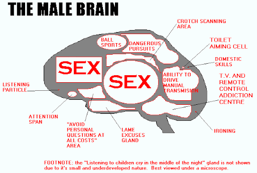 Male Brain