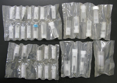 lots of vials