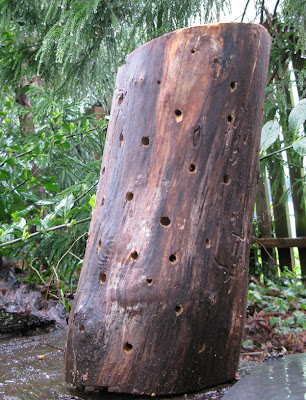 log with holes in it