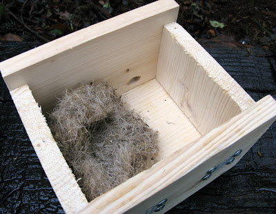 open bee box