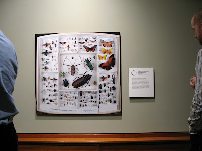 Gallery Show