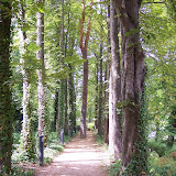 Villa Marlier, trädgård