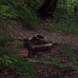 Ruindel från Berghof