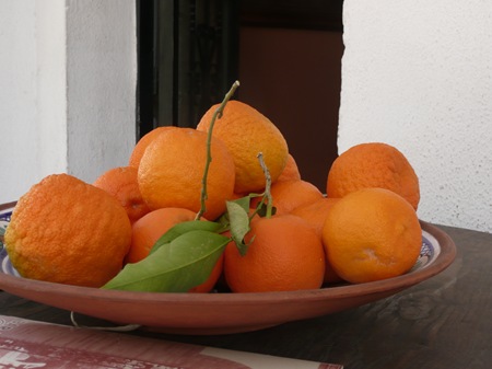 P1100563