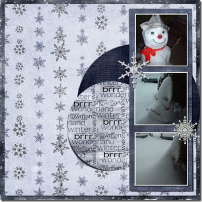 Seal_JWDS_SnowN_LO2