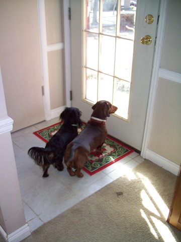 [Home at the holidays 012[2].jpg]