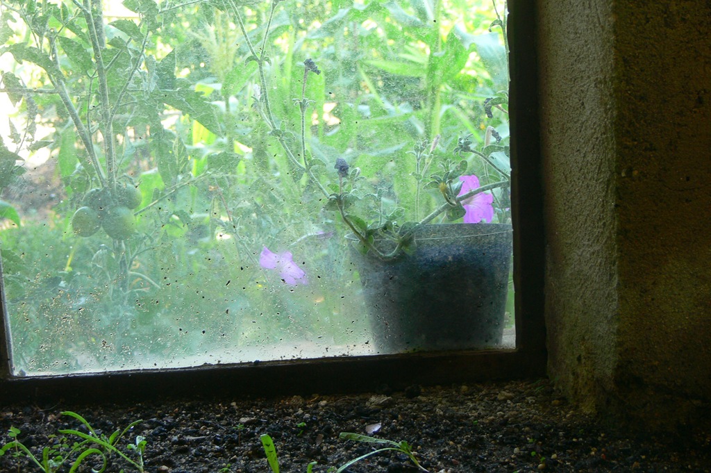 [395 ventana de invernadero[5].jpg]