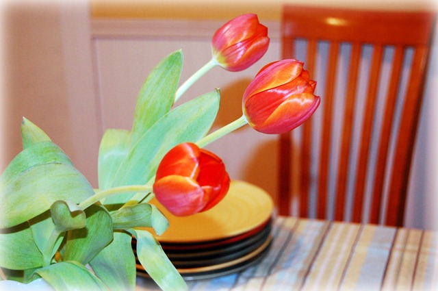 [tulips[3].jpg]