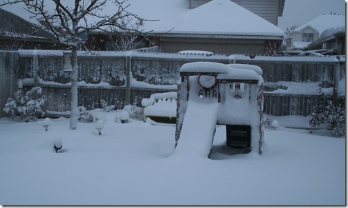 Snow 3.21.10 007