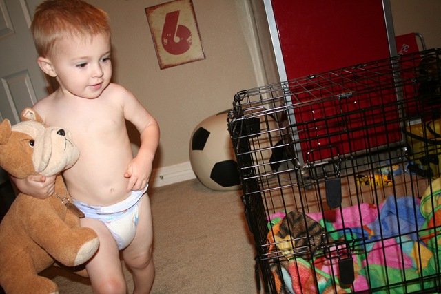 [1st half Puppy Day 014[2].jpg]
