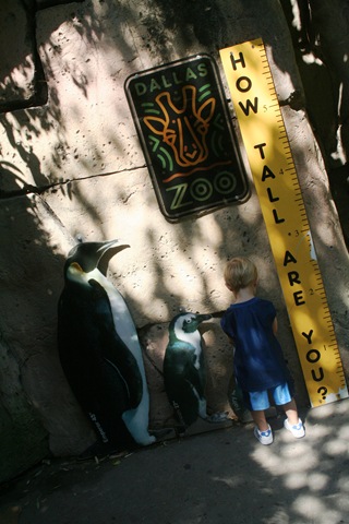 [Dallas Zoo 028[4].jpg]
