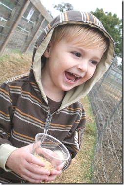 Pumpkin Patch 09 001