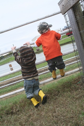 [Pumpkin Patch 09 009[3].jpg]