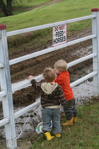 [Pumpkin Patch 09 058[2].jpg]