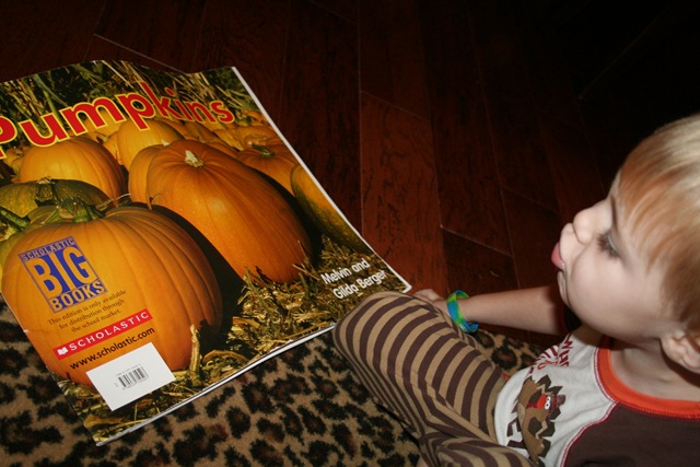 [beginningofImThankfulDay0184.jpg]