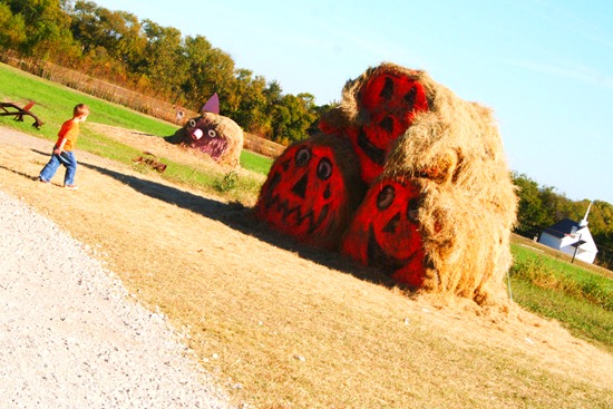 Pumpkin Patch 2010 020