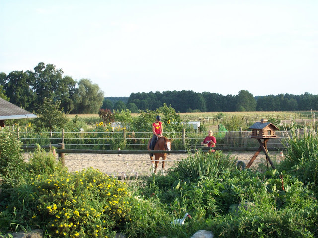 Pferde- und Reiterhof Glau-Trebbin
