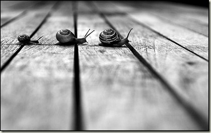 black-white-photography-1 black-white-photography-1