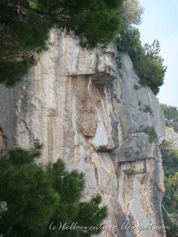 [P10002917.jpg]