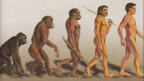 [Humans Evolved From Apes[9].jpg]