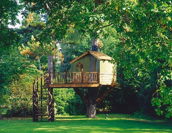 [Amazing Tree Houses Around The World 06[2].jpg]