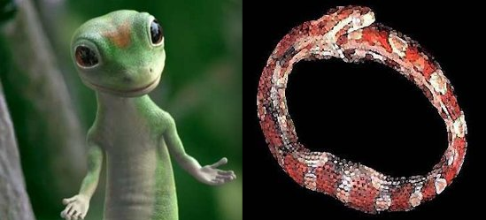 hoopsnake hoopsnake