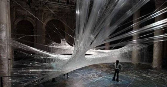 World’s Largest Spider Web Ever Spun 01 World’s Largest Spider Web Ever Spun 01