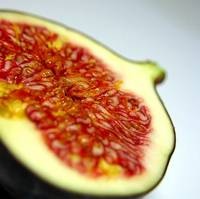 top-10-aphrodisiac-foods07 top-10-aphrodisiac-foods07
