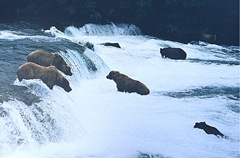 Katmai