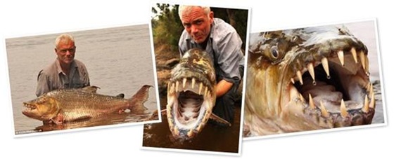 River Monster - Giant Piranha 00