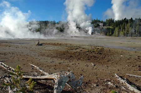 [norrisgeyserbasin2005[3].jpg]