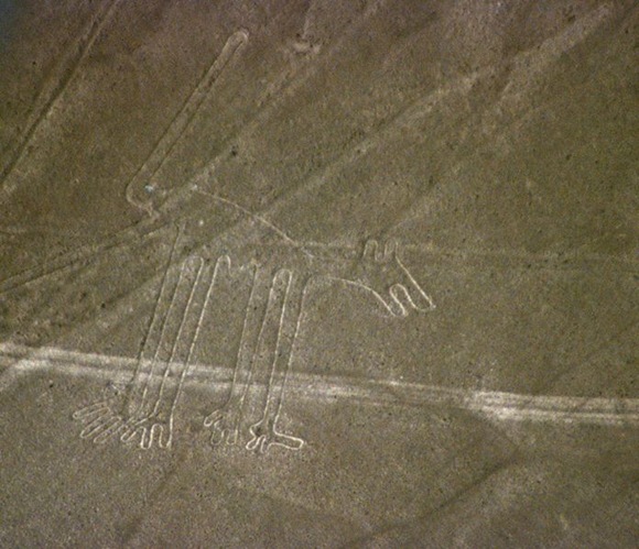 Nazca_dog Nazca_dog