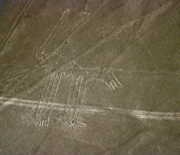 Nazca_dog