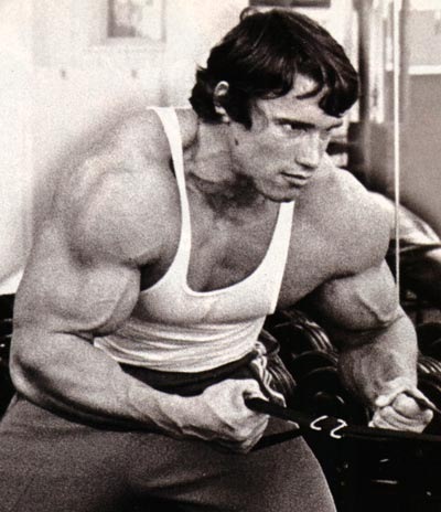 [free-muscle-building-workout[3].jpg]