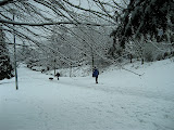 Local view - do I know those people