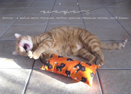 IMG_5367_a (Small)