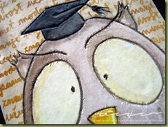 sova_close (Small)