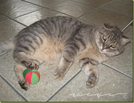 IMG_4234 (Small)