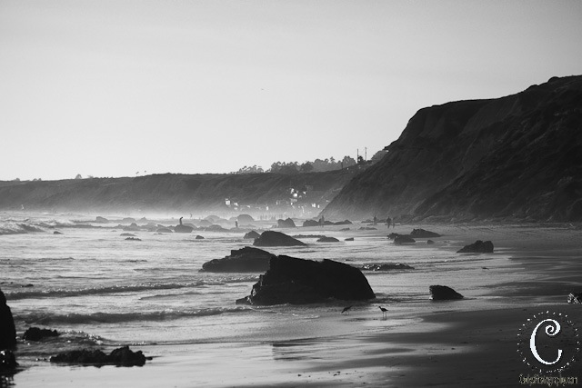 [laguna beach-23[3].jpg]