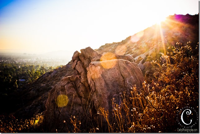 Sugar Loaf-5