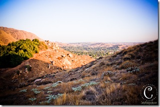 Sugar Loaf-7