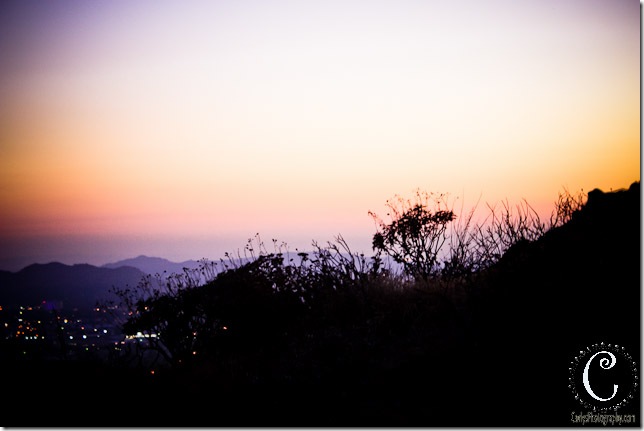 Sugar Loaf-22