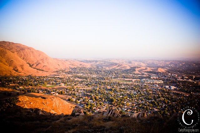 [Sugar Loaf-12[3].jpg]
