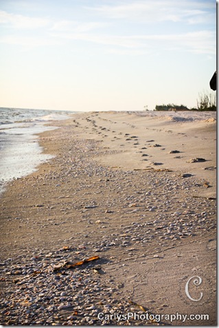 Sanibel p. 3-7