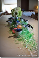 baby showers-2