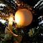 Finally - Christmas 2006