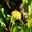 P5250670.JPG