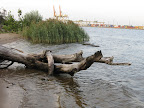 Sieksta pie Daugavas
