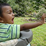 Summer2008 332.jpg