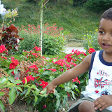 Summer2008 451.jpg